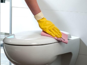 BAYETA PVA MICRO VILEDA (38x35)