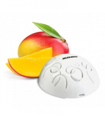 RECAMBIO AMBIENTADOR INTENSITY (MANGO)