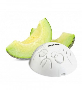 RECAMBIO AMBIENTADOR INTENSITY (MELON)