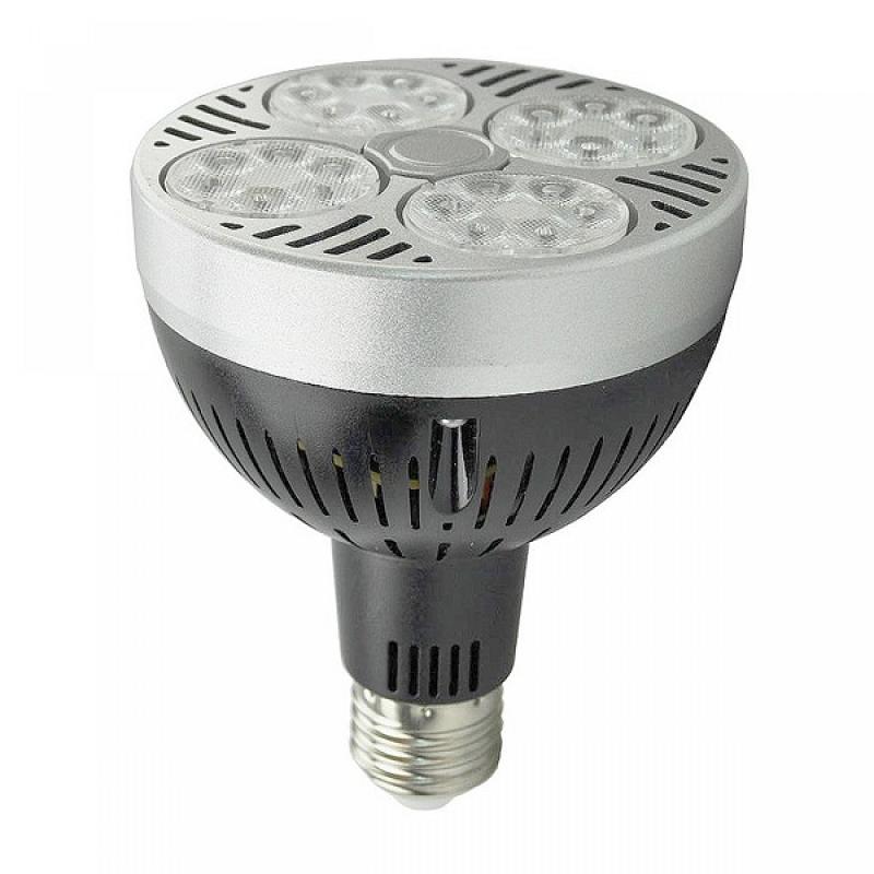 BOMBILLA LED E27 Par30 35W