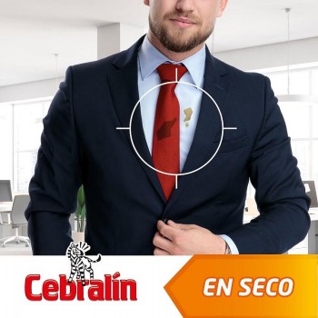 QUITAMANCHAS CEBRALIN SPRAY 200
