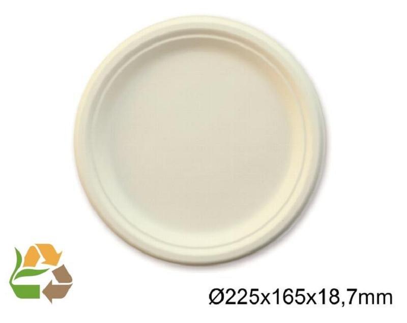 PLATO LLANO FIBRA CAÑA  DE AZUCAR 225x165x18,7mm - 50 - 500U.