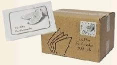 TOALLITAS PERFUMADAS BLANCAS (500 Unds) LIMON