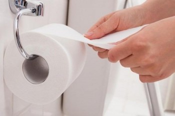 HIGIENICO DOMESTICO 1ª CALIDAD