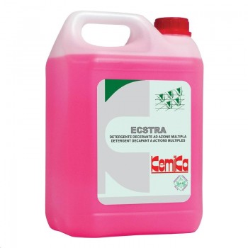ECSTRA DECAPANTE RAPIDO 5 Kg