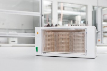 INCUBADOR MICROBIOLOGICO HYGICULT