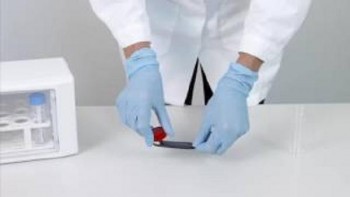 INCUBADOR MICROBIOLOGICO HYGICULT